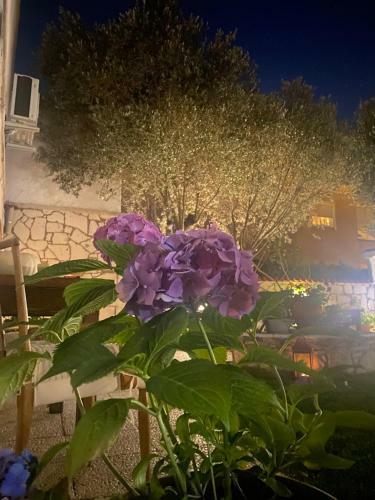 Hotel Badem?�? Otel