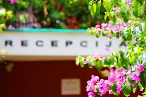 Hostal Villa Bojana