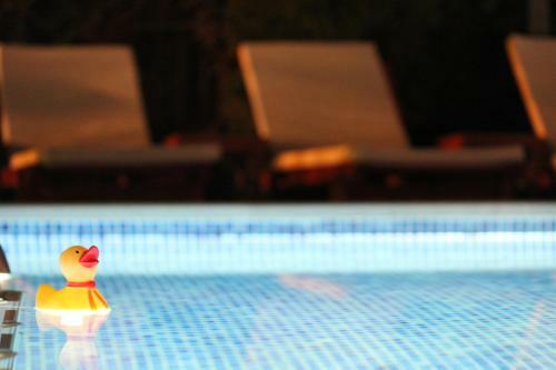 Hostal Villa Bojana