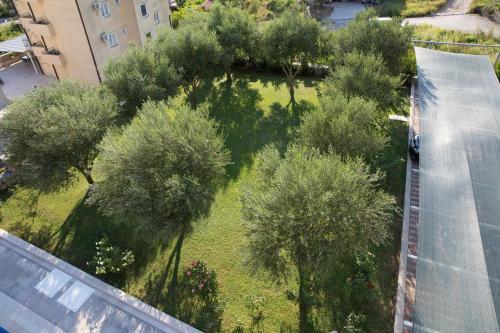 Apartments Konte