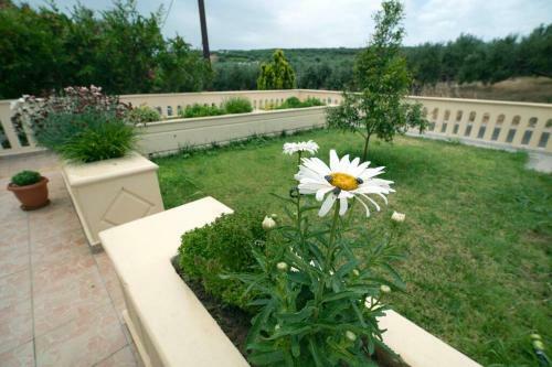 Apartamento Vasilis And Ioanna Traditional House