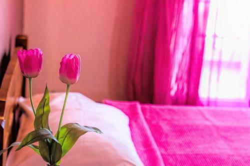 Apartamento Golden Sun Studios