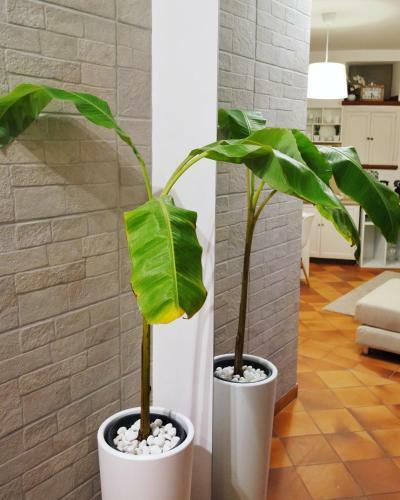 Apartamento Gmarconi Loft