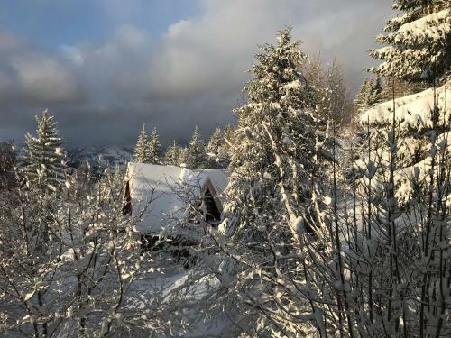 Le Chalet Pointu De Capucine
