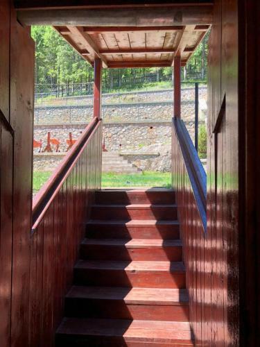 Hostal Pensiunea Cerbul
