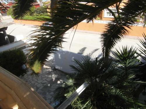 Apartamento Con Jardin