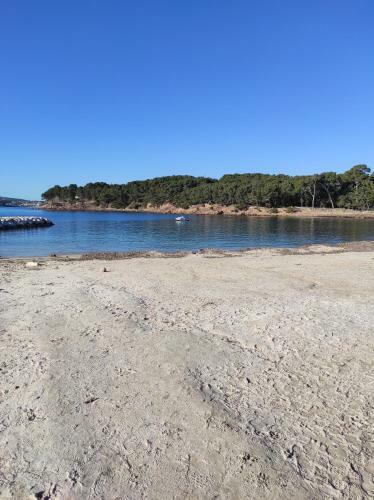 Apartamento Charmant Studio 24 M2 Terrasse � 100m de La Plage