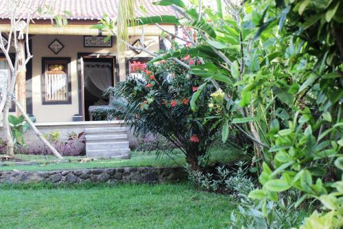 The Banyan Menjangan