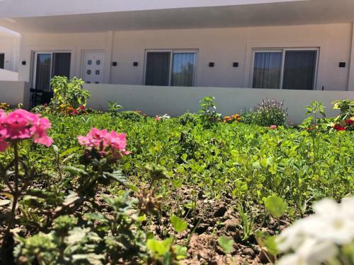 Apartamento Villa Rea