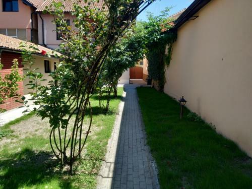 Studio Apartman