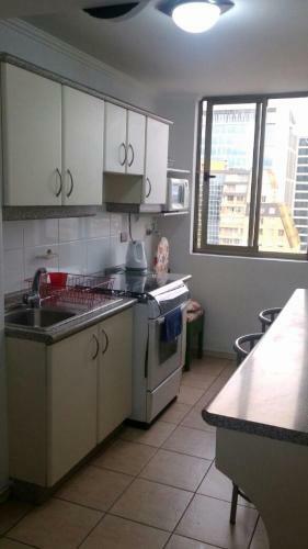Apartamento Departamento Amoblado Por Dias Concepci�n