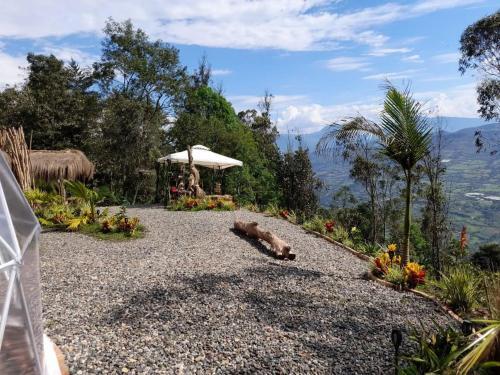Islamonta�a Glamping