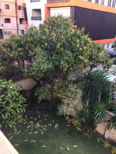 Maamoura Beach Zahraa Apartment 9/206