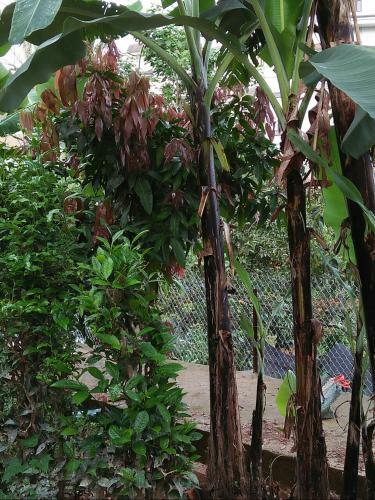 Apartamento Nh� C?a S�c