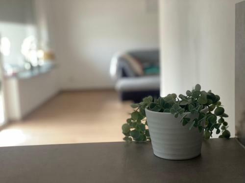 Apartment Mit Parkblick