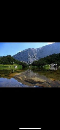 Private Apartment In Pirin Golf Hotel & Spa