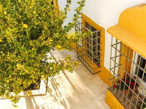 Agroturismo Cortijo de Las Piletas