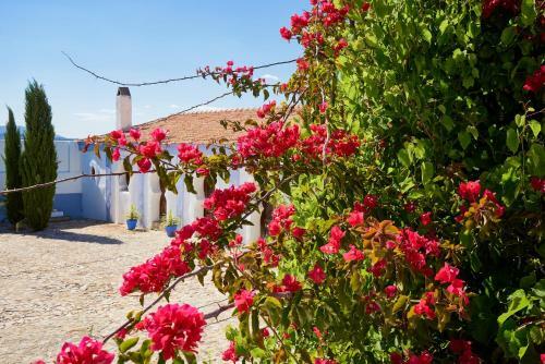 Agroturismo Cortijo de Las Piletas
