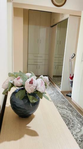 Apartment Zhambula