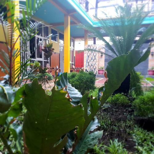 Hostal Homestay Abah Kolam Syariah