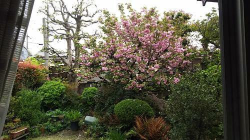 Hostal Traditional Japanese House With Beatiful Garden