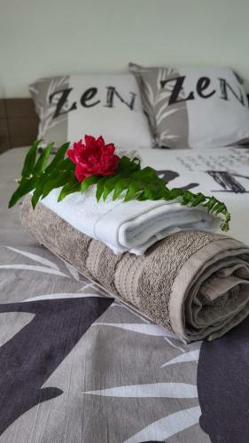 Hostal Manganao H�tel