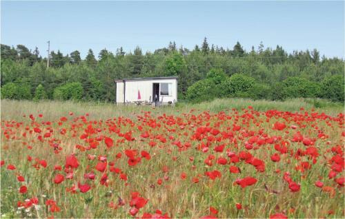 Holiday Home Klintehamn 50