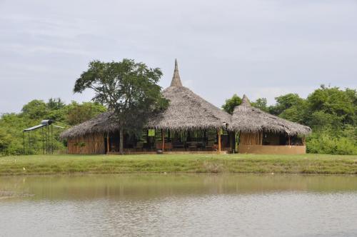 Lodge Cadjan Earth