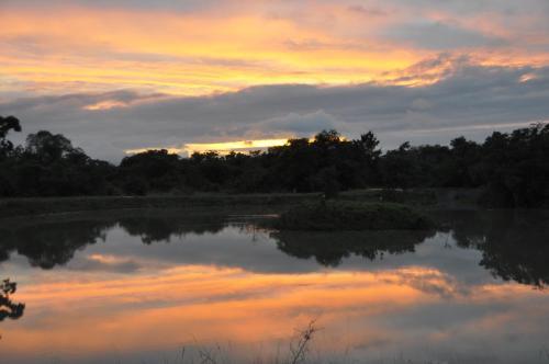 Lodge Cadjan Earth