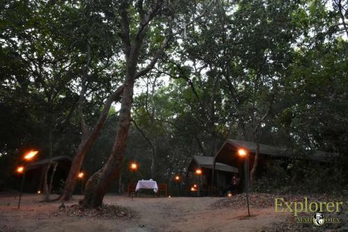 Hotel Mahoora Tented Safari Camp - Kumana