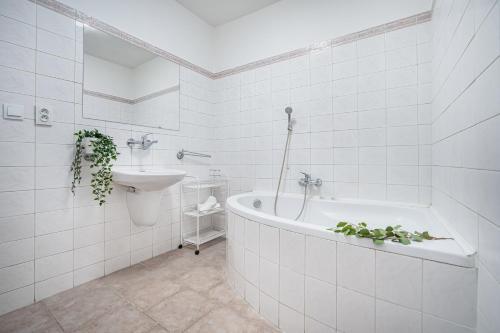 Hostal Penzion U Libu?ky #29 Brno-living Cz