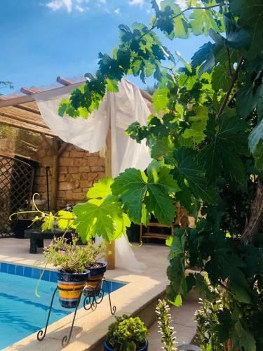 Agroturismo Hospeder�a Jardines de Col�n