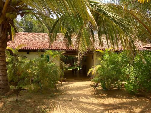 Hotel Palagama Beach