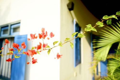 Hotel Palagama Beach