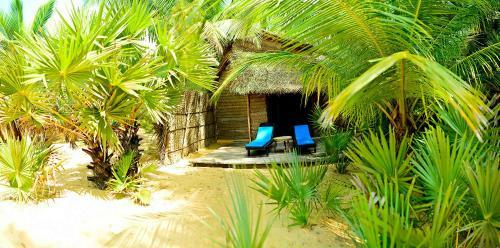 Hotel Palagama Beach