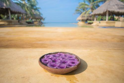 Hotel Bar Reef Resort