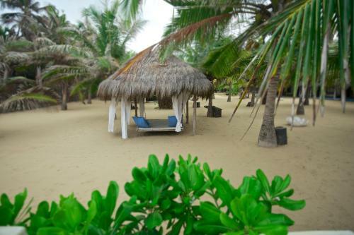 Hotel Dolphin Beach
