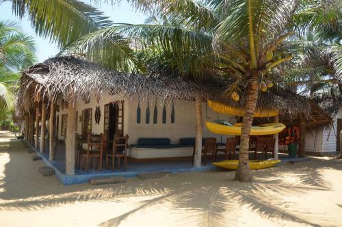 Hotel Dolphin Beach