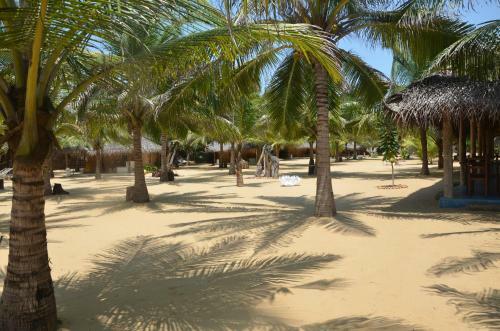 Hotel Dolphin Beach
