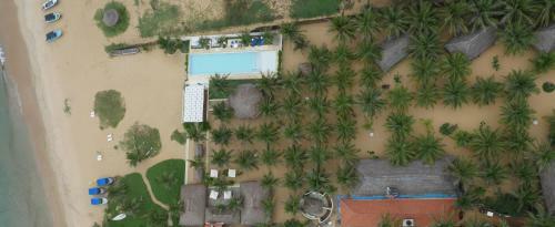 Hotel Dolphin Beach