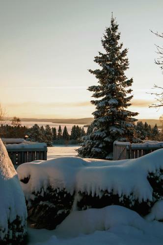 L�ng�nge Bed & Breakfast