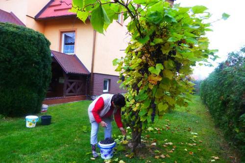 Agroturystka Na Zaciszu
