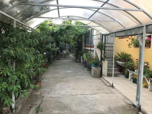 Apartman Divna