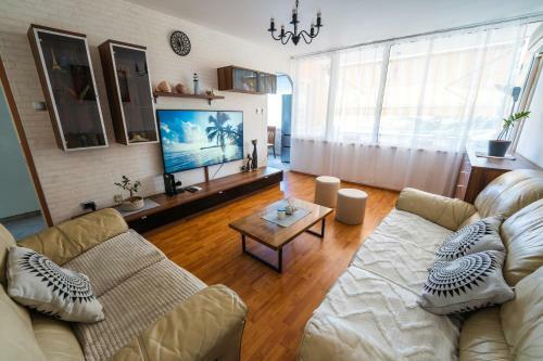 Apartment Vita