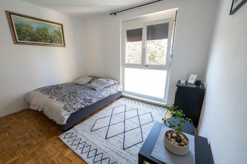 Apartment Vita
