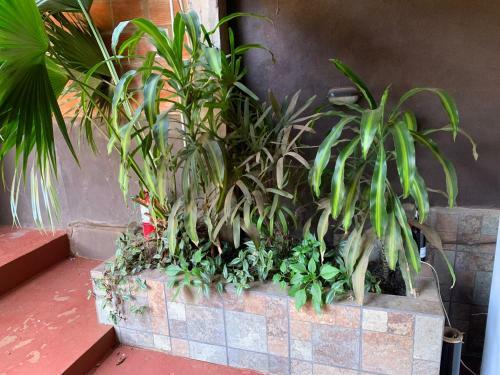 Apartamento Caba�as Iguaz�
