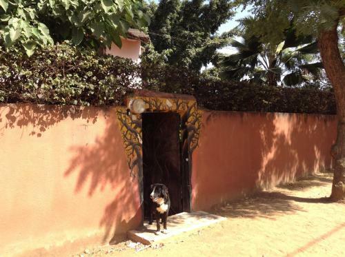 Bed & Breakfast Baobab Belge