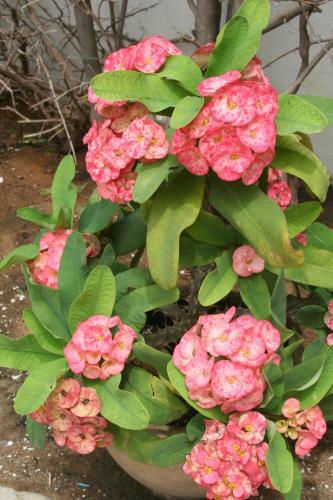 Albergue Auberge Keur Diame