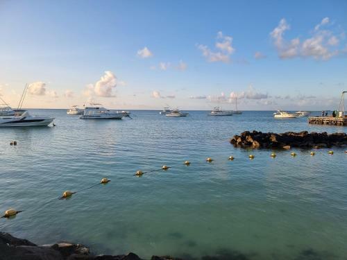 Apartamento Residence La Colombe Vacation Rentals