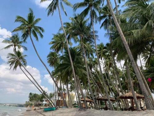 Hotel The Legend Coco Beach